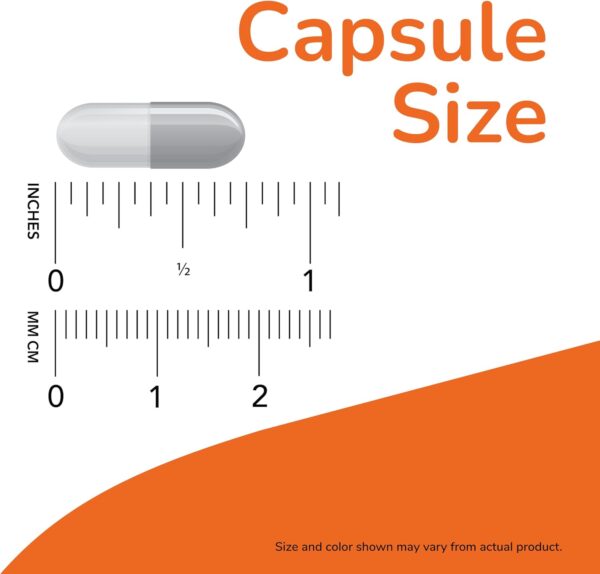 NOW Foods Supplements, L-Carnitine 250 mg, Purest Form, Amino Acid, Fitness Support*, 60 Veg Capsules