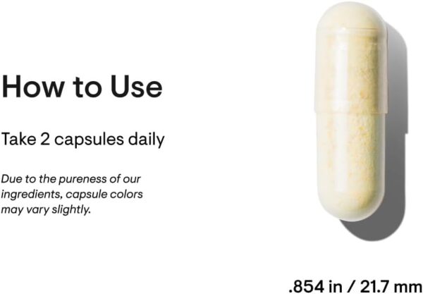THORNE Basic Nutrients 2/Day - Comprehensive Daily Multivitamin with Optimal Bioavailability - Vitamin & Mineral Formula - Gluten, Dairy & Soy-Free - 60 Capsules - 30 Servings