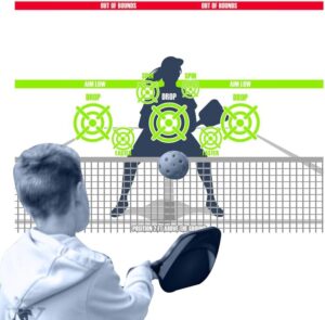 Pickleball Dink Pad Practice Board Poster Rebounder Training Aid - Improve Your Pickle-Ball Game Dinks & Reflexes - Transform Any Wall Into A Pickle Ball Court and Net Indoor or Outdoors by Modfamily