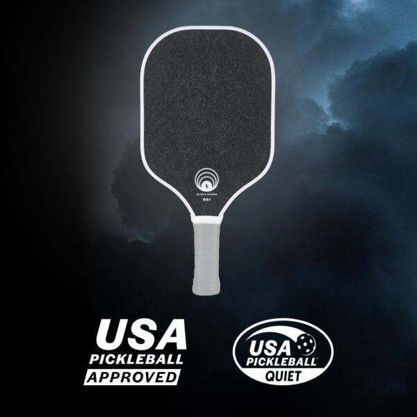 OWL Sport SILENT STORM Paddle | 100% USAPA Tournament & League Approved | Maximum Control Play 16 MM Core | Patented High Performance Surface | Over 50% Noise Reduction | Elite Play for All Players