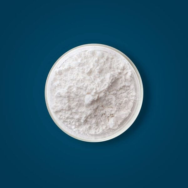 Fitness Labs German Creatine and L-Glutamine | 1.1 lbs | Monohydrate and Creapure Powder | Vegan Fitness Supplement