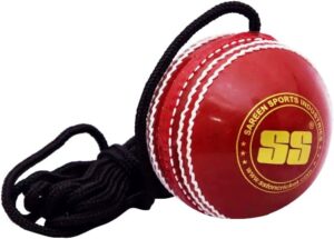 SS Hanging Ball for Bat Knocking and Practice with Reaction String (Embossed Seam)