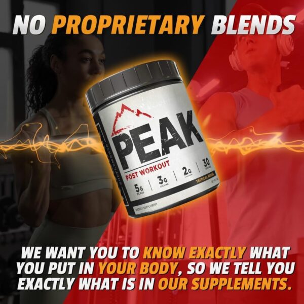 Creatine 3G Peak Post Workout Recovery Powder - 5G BCAA 2:1:1 - Glutamine 2G - Creatine Monohydrate Muscle and Strength Building Supplement - 30 Servings - Tropical Mango