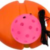 Pickleball Trainer, Rebound Practice Tool Pickleball Ball with Cord, Outdoor Indoor, Pickleball Training Aid for Training