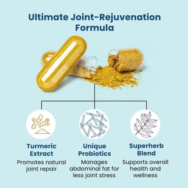 BB Company Provitalize | Probiotics for Women, Menopause | Joint Support, Sexy Midsection Curves, Digestive Health, Menopause Bloat | Turmeric Curcumin Moringa | Packaging Vary | 60 Ct