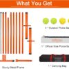 Zdgao Pickleball Net for Driveway with 22FT Regulation Size Pickleball Net, 4 Outdoor Pickleballs and Carry Bag, Weather Resistance Strong Steel Frame