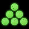 Pickleball Balls, 6 Pack Outdoor Glow in The Dark Pickleballs with Mesh Bag, Luminous Gifts, Light Up Green, High Visibility & Durable for Training