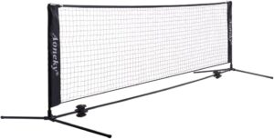 Aoneky Protable Driveway Pickleball Set - Driveway Pickleball Game