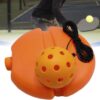 Pickleball, Pickleball Rebounder, Pickleball Ball with Rope, Portable, Improve Speed, Pickleball Training Aid for Beginners