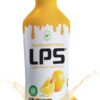 Nutritional Designs LPS Liquid Collagen & Whey Protein Supplement - Sugar-Free Non-GMO Drink - Promotes Healthy Skin & Hair for Men & Women (Orange)