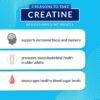 BodyTech 100% Pure Creatine Monohydrate Powder - Premium Micronized Creatine for Enhanced Muscle Strength and Performance - Supports Muscles, Recovery, and Increased Exercise (18oz/102 Servings)
