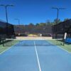 Pickleball Airzone - Court Target Training Aid - Pickleball Net Target