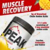Creatine 3G Peak Post Workout Recovery Powder - 5G BCAA 2:1:1 - Glutamine 2G - Creatine Monohydrate Muscle and Strength Building Supplement - 30 Servings - Tropical Mango