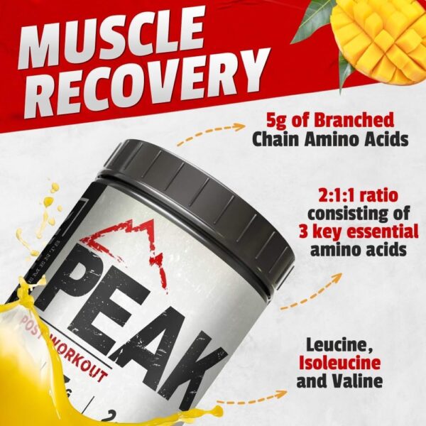 Creatine 3G Peak Post Workout Recovery Powder - 5G BCAA 2:1:1 - Glutamine 2G - Creatine Monohydrate Muscle and Strength Building Supplement - 30 Servings - Tropical Mango