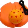 Pickleball, Pickleball Rebounder, Pickleball Ball with Rope, Portable, Improve Speed, Pickleball Training Aid for Beginners
