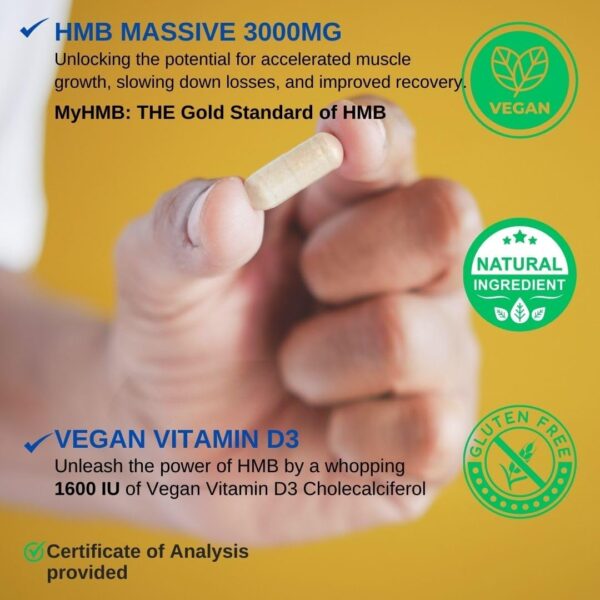 HMB 3000mg and Vitamin D3 Supplement Capsules per Serving *USA Made & Tested* Promotes Muscle Growth & Recovery - HMB Supplement and Vitamin D3 (1600 IU) - 120 Capsules 30 Servings