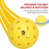 Outdoor Pickleball Balls, 2025 USAPA Approved Tournament and Competition Ball, 40 Hole Pickleball, 100 Pack High Elasticity & Durable Yellow Pickle Balls, Ideal for All Skill Levels