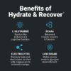 Wilderness Athlete - Hydrate & Recover | Liquid Hydration Packets Electrolyte Drink Mix - Recover Faster with Bcaas - 30 Single Serving Hydrate Packets (Peach)