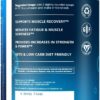 MRM Nutrition Reload BCAA+G Post-Workout Recovery| Island Fusion Flavored| 9.6g Amino Acids| with CarnoSyn®| Muscle Recovery| Keto Friendly| 26 Servings