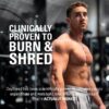 EHP Labs OxyShred Pre Workout Powder - Preworkout Powder with L Glutamine & Acetyl L Carnitine, Energy Boost Drink - Peach Candy Rings, 60 Servings