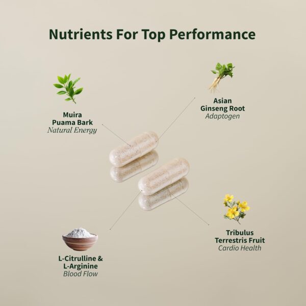 Snap Supplements Nitric Oxide Booster Supplement with L Arginine and L Citrulline Essential Amino Acids and Ginseng Root, Energy, Heart Health, Muscle Growth & Circulation Support, 60 Capsules