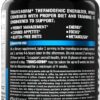 EVL Thermogenic Fat Burner Support - Fast Acting Weight Loss Energy and Appetite Support - Trans4orm Green Tea Supplement for Men and Women - 60 Servings