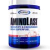 Gaspari Nutrition Aminolast, Recovery and Endurance BCAA Superfuel, 2:1:1 Amino Acid Ratio, Fueled with Electrolytes (30 Servings, Fruit Punch)