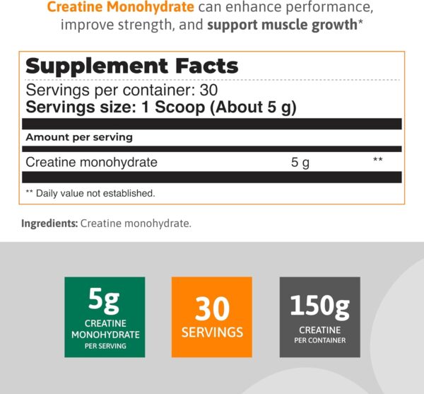 Real Fitness Creatine Monohydrate Unflavored Powder, 5.3 oz - Muscle Growth & Strength Supplement