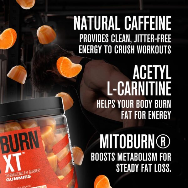 Jacked Factory Burn-XT Weight Loss Gummies - Thermogenic Fat Burner & Appetite Suppressant Gummies with Acetyl-L-Carnitine HCL, MitoBurn, & Caffeine - 60 Gummies, Tangerine Sour