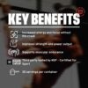 Bare Performance Nutrition BPN Flight Pre Workout, Supports Energy and Mental Focus, Improved Endurance & Muscle Pumps with CarnoSyn® Beta Alanine, Blue Raspberry, 30 Servings