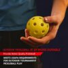 Outdoor Pickleball Balls, 2025 USAPA Approved Tournament and Competition Ball, 40 Hole Pickleball, 100 Pack High Elasticity & Durable Yellow Pickle Balls, Ideal for All Skill Levels