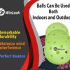 JP WinLook Premium Pickleball Paddles Set – USAPA Pickleball Set - Graphite Carbon Fiber Rackets for Women & Men and Balls for Indoor or Outdoor Play - Racquets, Pickleballs & Carry Bag