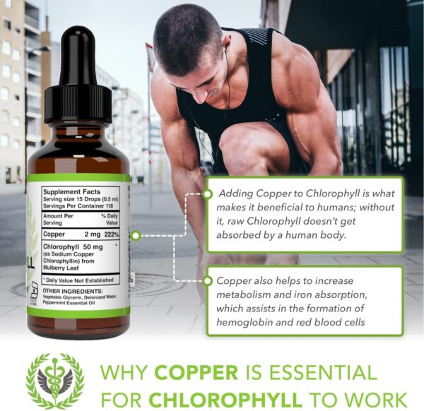 Benevolent Chlorophyll Liquid Drops – Organic Detox & Immune Support, Internal Deodorizer & Skin Health Supplement, Non-GMO, 4 Month Supply, Natural Mint Flavor