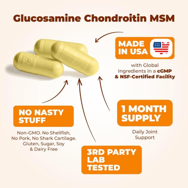 Glucosamine Chondroitin MSM and Turmeric Supplement - Joint Support Supplement for Women & Men with Boswellia & Glucosamine Sulfate 1500 mg. Used for Cartilage & Joint Health & Flexibility 90 Capsules