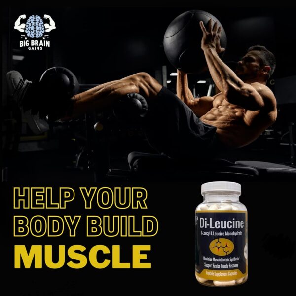 DiLeucine Peptide Supplement Capsules - Supports Muscle Recovery & Synthesis