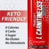 iSatori L-Carnitine LS3 1500, Triple-Blend Liquid L Carnitine Supplement, with Acetyl & Tartrate, Stimulant Free Energy, No Calories, Sugar or Gluten, Keto-Friendly, Malibu Beach Flavor (32 Servings)