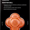 Champro Reaction Ball