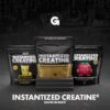 Gains in Bulk Instantized Creatine Monohydrate for Women and Men, Soluble Pre Workout Powder, Supports Muscle Building, Strength and Performance, Bodybuilding Supplements, Unflavored, 30 Servings