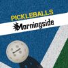 Morningside 40 Hole Outdoor Pickleballs Balls USA Pickleball USAPA Rule Compliant 10 Pack 20 Pack 50 Pack 100 Pack 200 Pack 400 Pack