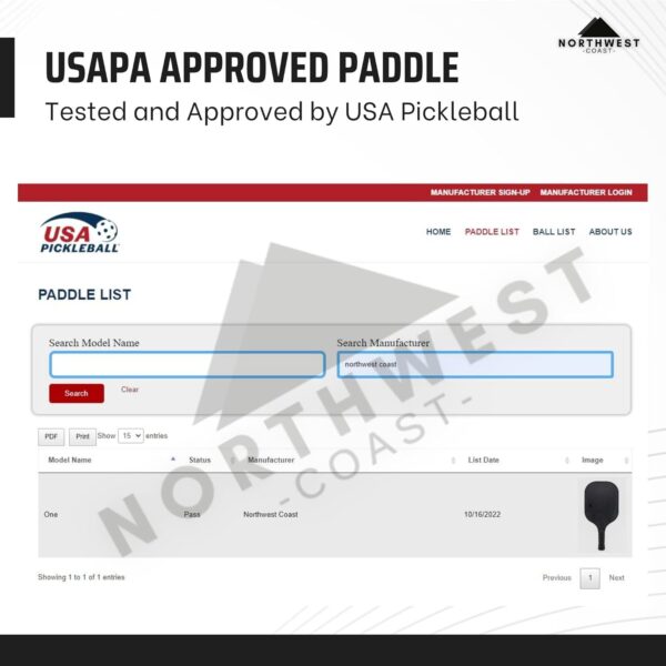 USAPA Approved Pickleball Paddle Set with Backpack (Backpack and Paddle)