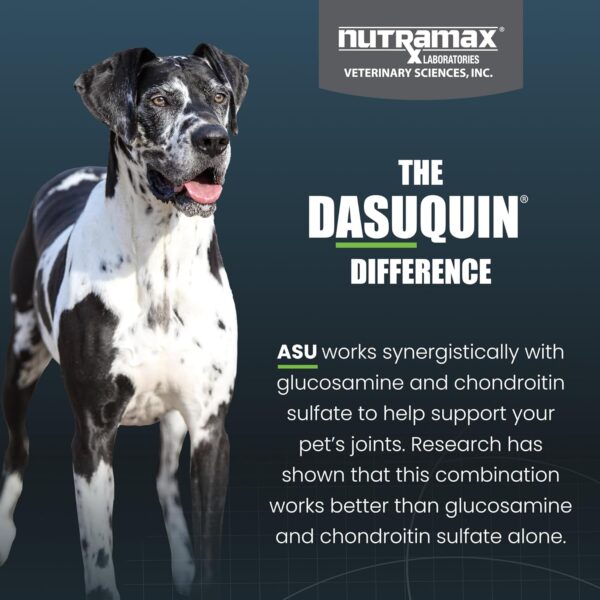 Nutramax Laboratories Dasuquin with MSM Joint Health Supplement for Large Dogs - With Glucosamine, MSM, Chondroitin, ASU, Boswellia Serrata Extract, and Green Tea Extract, 84 Soft Chews
