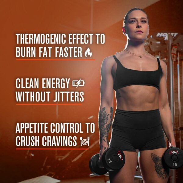 Jacked Factory Burn-XT Weight Loss Gummies - Thermogenic Fat Burner & Appetite Suppressant Gummies with Acetyl-L-Carnitine HCL, MitoBurn, & Caffeine - 60 Gummies, Tangerine Sour