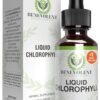 Benevolent Chlorophyll Liquid Drops – Organic Detox & Immune Support, Internal Deodorizer & Skin Health Supplement, Non-GMO, 4 Month Supply, Natural Mint Flavor