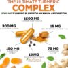 Turmeric Curcumin Supplement 2000mg with Glucosamine Chondroitin & Ginger, 95% Curcuminoids, BioPerine Black Pepper for Best Absorption, Nature's Joint Support, Non-GMO, Bottled in USA - 120 Capsules