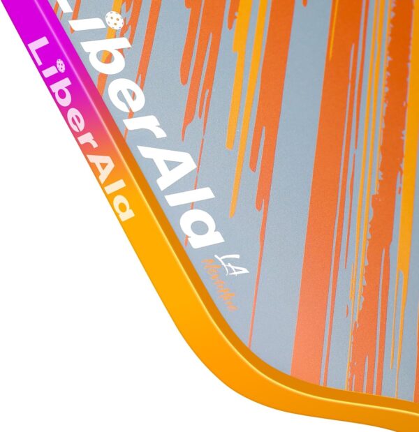 Pickleball Paddles Set of 2 | LA-NovaHue USAPA Approved Paddle | PP Honeycomb & Carbon Fiber |Gradient edging design |Indoor/Outdoor games for adults and family | Portable Beginner pickle kit