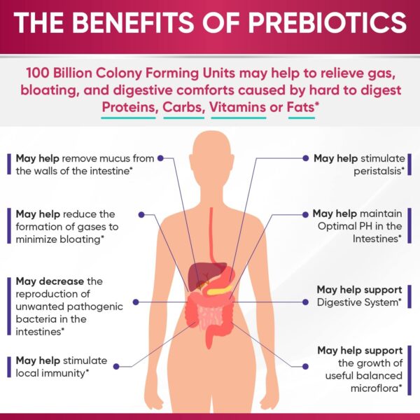 Wholesome Wellness Dr. Formulated Raw Probiotics for Women 100 Billion CFUs Capsules with Prebiotics, Digestive Enzymes, Approved for Adults, Shelf Stable Supplement