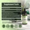 Benevolent Chlorophyll Liquid Drops – Organic Detox & Immune Support, Internal Deodorizer & Skin Health Supplement, Non-GMO, 4 Month Supply, Natural Mint Flavor