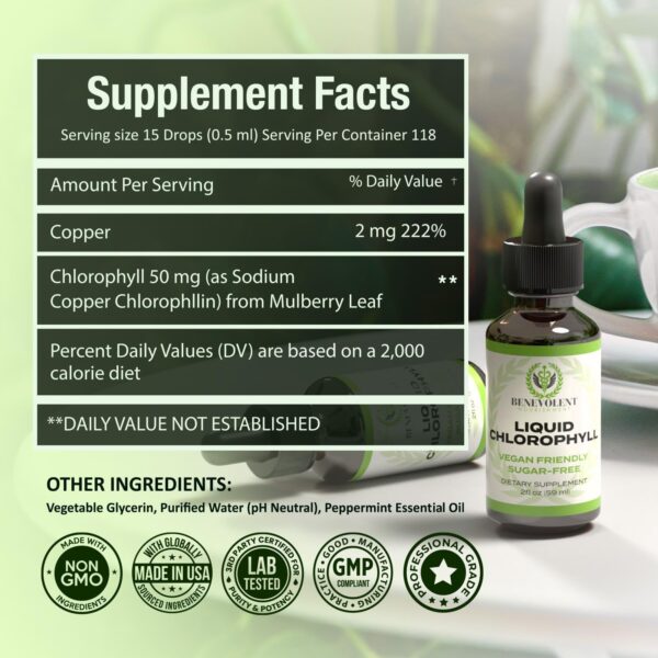 Benevolent Chlorophyll Liquid Drops – Organic Detox & Immune Support, Internal Deodorizer & Skin Health Supplement, Non-GMO, 4 Month Supply, Natural Mint Flavor