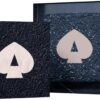 ACE Pickleball Paddle Cleaner for Carbon Fiber Paddles and Rackets Easily Removes Ball Residue, Dirt, and Minor Scrapes and Scratches
