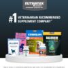Nutramax Laboratories Dasuquin with MSM Joint Health Supplement for Large Dogs - With Glucosamine, MSM, Chondroitin, ASU, Boswellia Serrata Extract, and Green Tea Extract, 84 Soft Chews